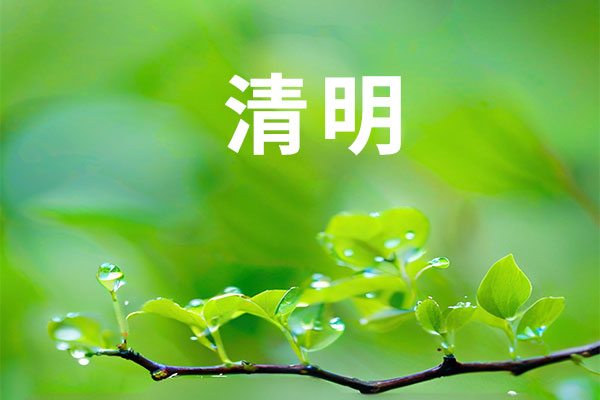 清明养生 清明养生
