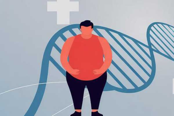 ·ÊÅÖ,°©Ö¢,Ö°©»úÖÆ,¹ØÁª°©Ö¢,½µµÍ·çÏÕ ·ÊÅÖ,°©Ö¢,Ö°©»úÖÆ,¹ØÁª°©Ö¢,½µµÍ·çÏÕ