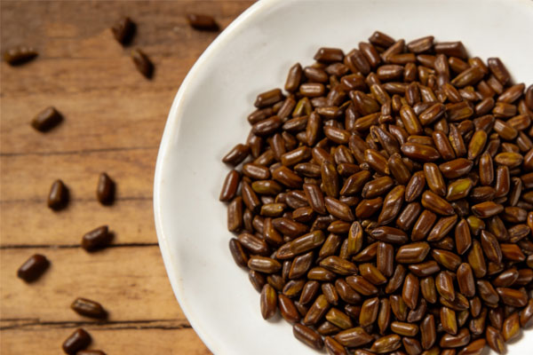 ������,ҩʳͬԴ,����ʳ��,�����Ŀ,��ͨ��