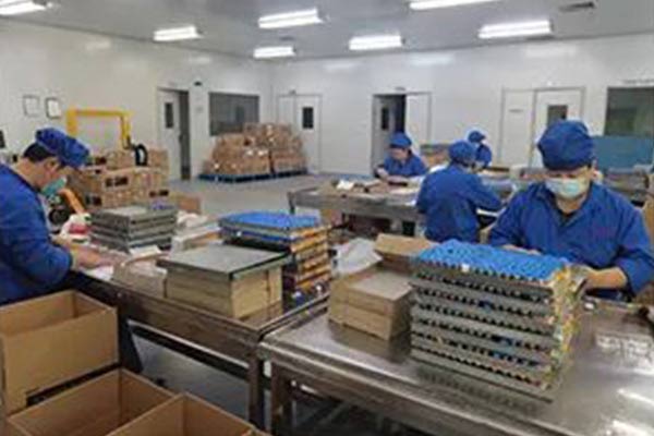 PG电子·(中国)官方网站