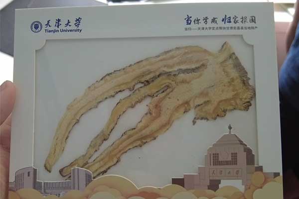 PGӡ(й)ٷվ