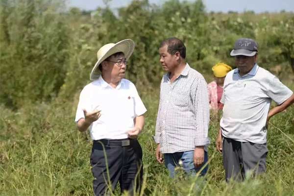 PG电子·(中国)官方网站