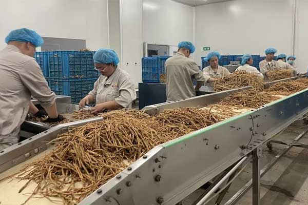 PG电子·(中国)官方网站
