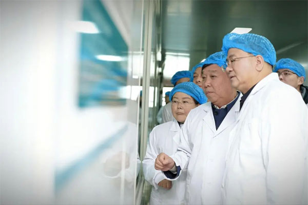 PG电子·(中国)官方网站