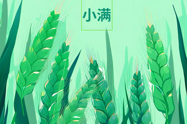 С,С